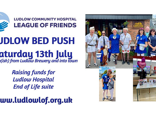 Annual Ludlow Bed Push 2024