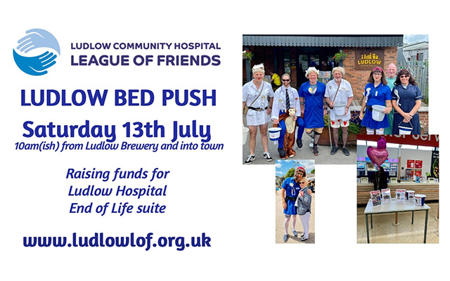Annual Ludlow Bed Push 2024